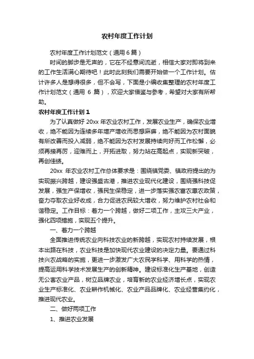农村年度工作计划范文（通用6篇）