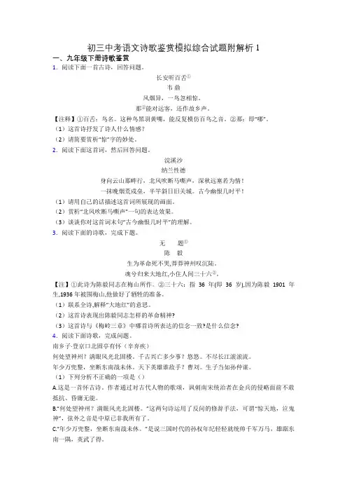 初三中考语文诗歌鉴赏模拟综合试题附解析1