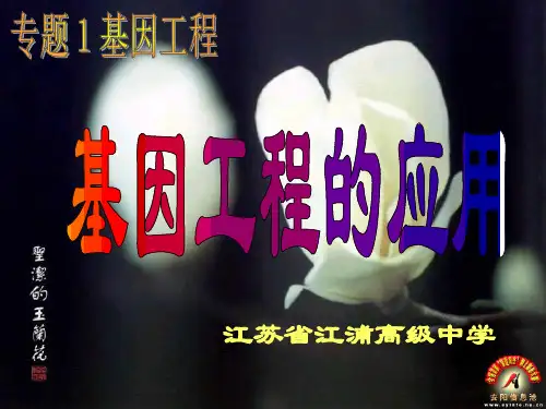 苏教版高中生物选修三1.3 基因工程的应用课件