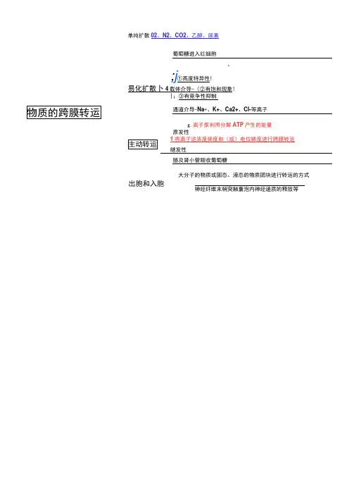(完整版)生理学思维导图