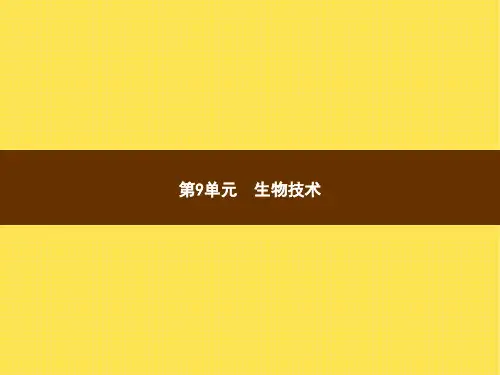 北师大版八年级下册生物-25