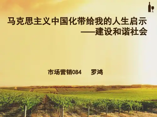 马克思主义中国化带给我的人生启示