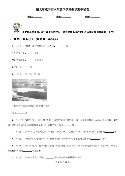 湖北省咸宁市六年级下学期数学期中试卷