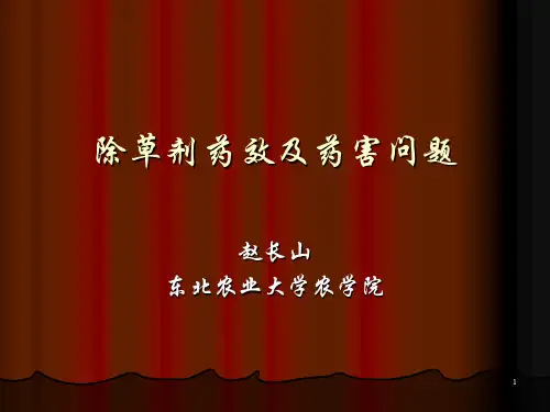 除草剂药效及药害问题1