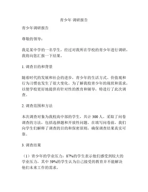 青少年 调研报告