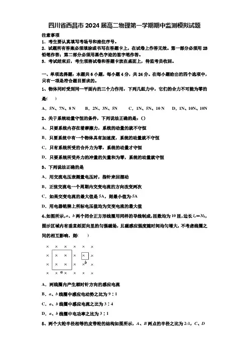 四川省西昌市2024届高二物理第一学期期中监测模拟试题含解析