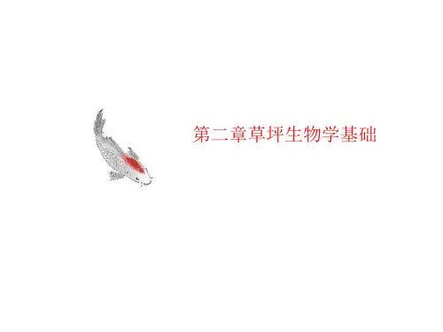 第二章草坪生物讲义学基础