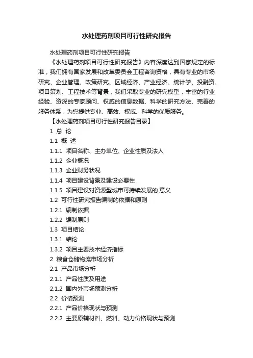 水处理药剂项目可行性研究报告
