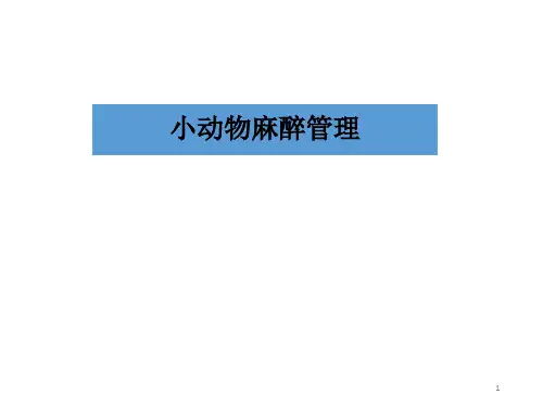 小动物麻醉管理PPT课件