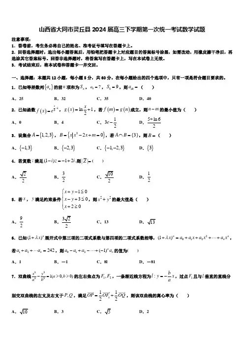 山西省大同市灵丘县2024届高三下学期第一次统一考试数学试题