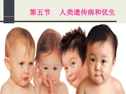 人类遗传病和优生ppt2 人教版