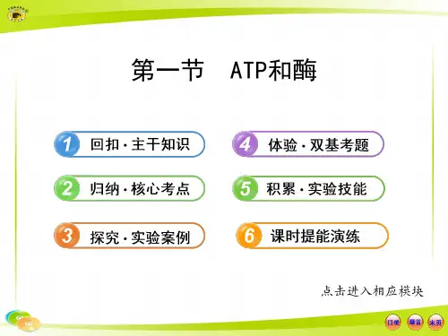 2013版高中生物全程复习方略配套课件(苏教版)：1.4.1ATP和酶