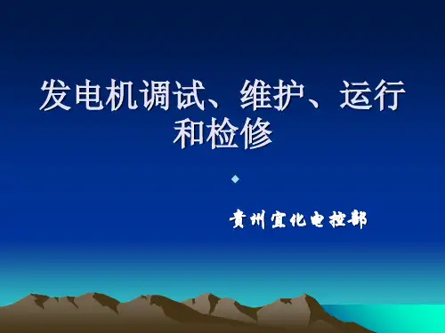 发电机调试、维护、运行和检修
