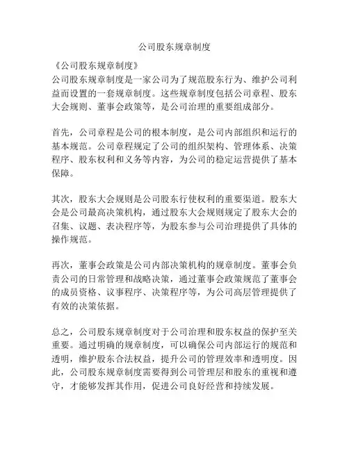 公司股东规章制度
