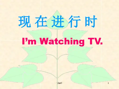 小学英语现在进行时PPT课件