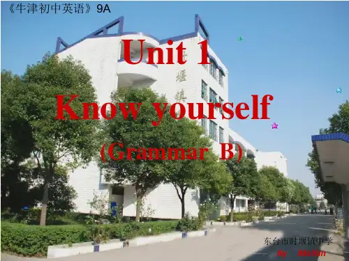 牛津译林版9A Unit1 Know yourself Grammar课件(共38张PPT)