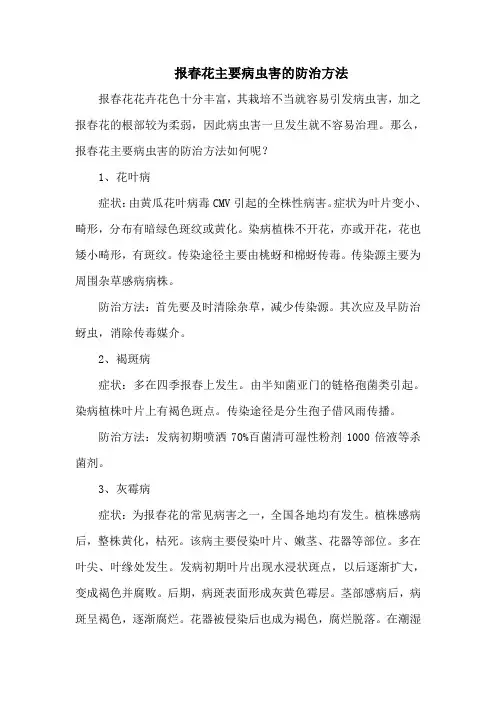 报春花主要病虫害的防治方法