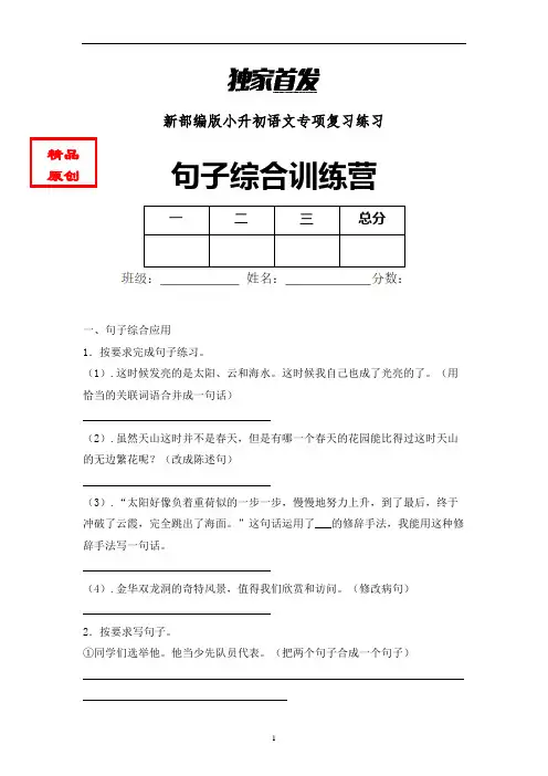 小升初语文句子综合训练专项练习含答案 (3)