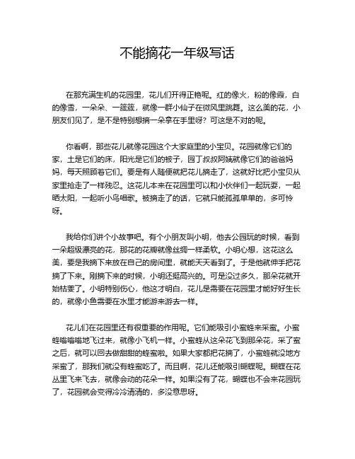 不能摘花一年级写话