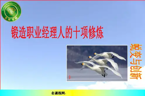 职业经理人的十项修炼精品PPT课件