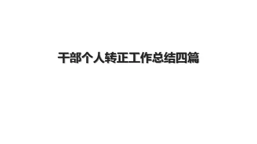 干部个人转正工作总结四篇