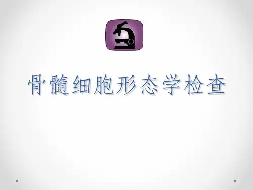骨髓细胞形态学检查讲解