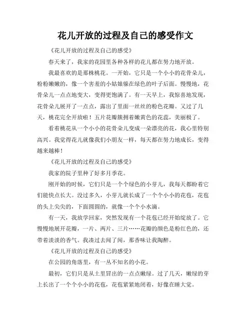 花儿开放的过程及自己的感受作文