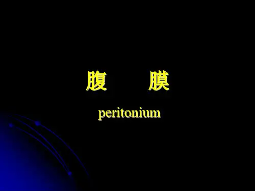 系统解剖学——腹膜ppt课件