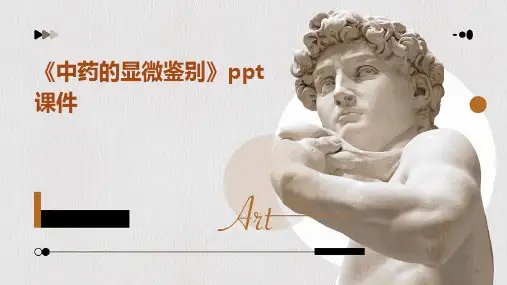 《中药的显微鉴别》课件