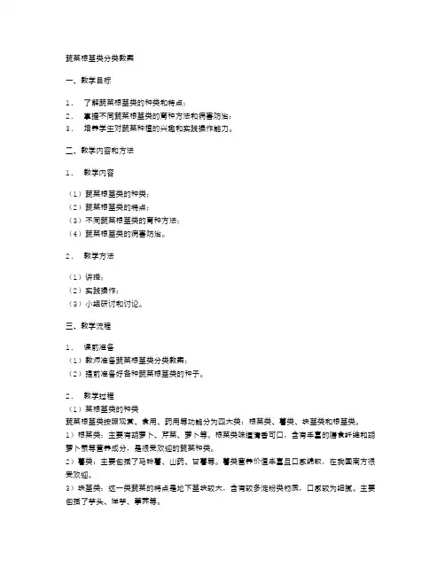 蔬菜根茎类分类教案