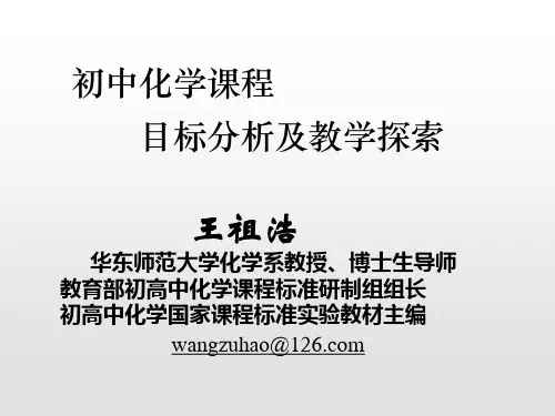 初中化学课程 王祖浩