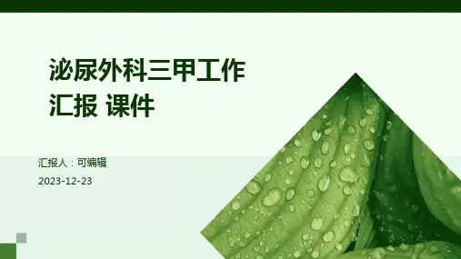 泌尿外科三甲工作汇报 课件