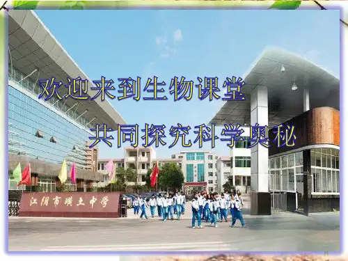 苏科版生物七上7.1《能量的释放和利用(1)》教学课件(共17张PPT)