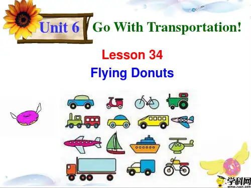 河北省保定市冀英学校八年级英语上册：lesson34FlyingDonuts课件(共24张PPT)