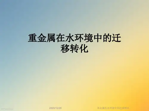 重金属在水环境中的迁移转化