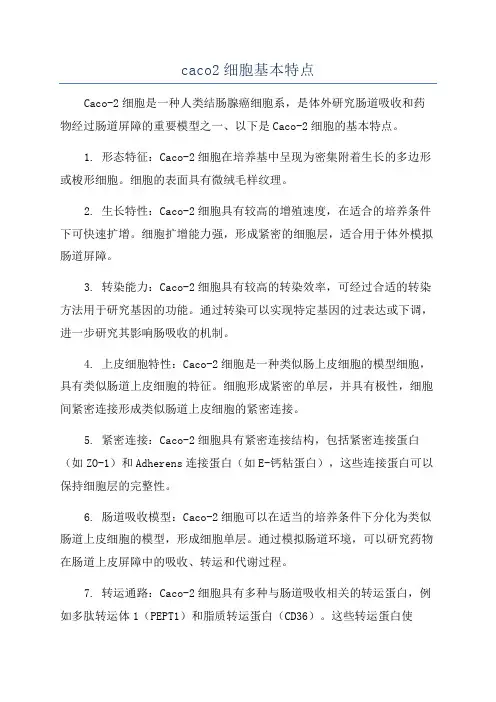 caco2细胞基本特点