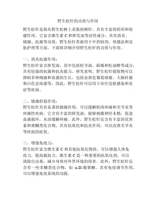 野生松针的功效与作用