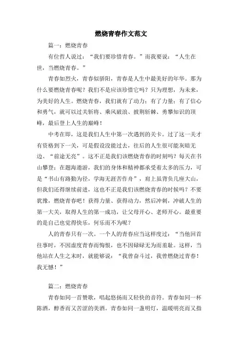 燃烧青春作文范文