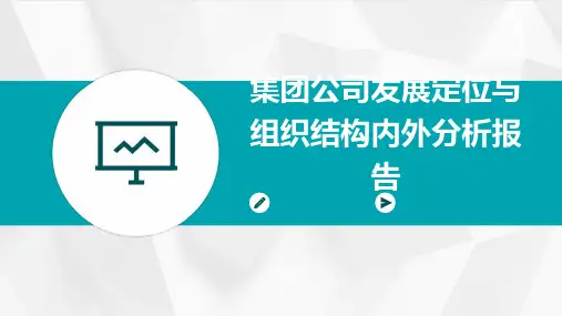 集团公司发展定位与组织结构内外分析报告