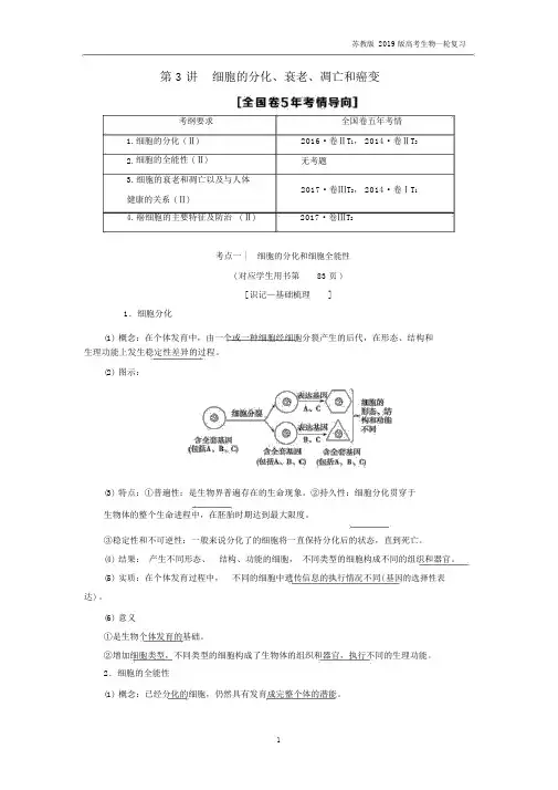2019版高考生物一轮复习第4单元细胞的增殖分化衰老和凋亡第3讲细胞的分化衰老凋亡和癌变.docx