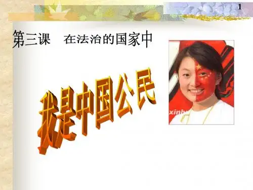 我是中国公民2(潘昕光)
