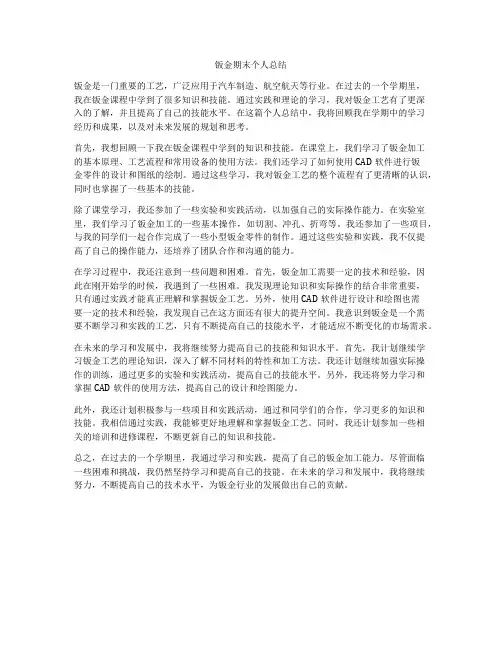 钣金期末个人总结