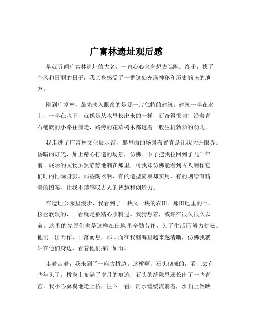 广富林遗址观后感