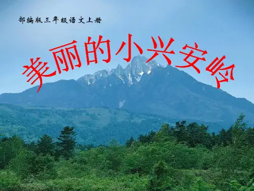20《美丽的小兴安岭》  教学课件(共47张PPT)