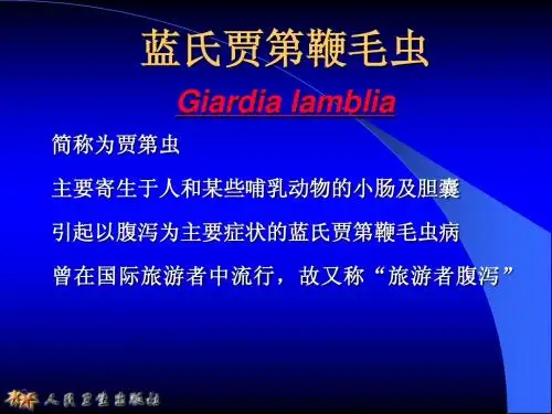 2.2蓝氏贾第鞭毛虫