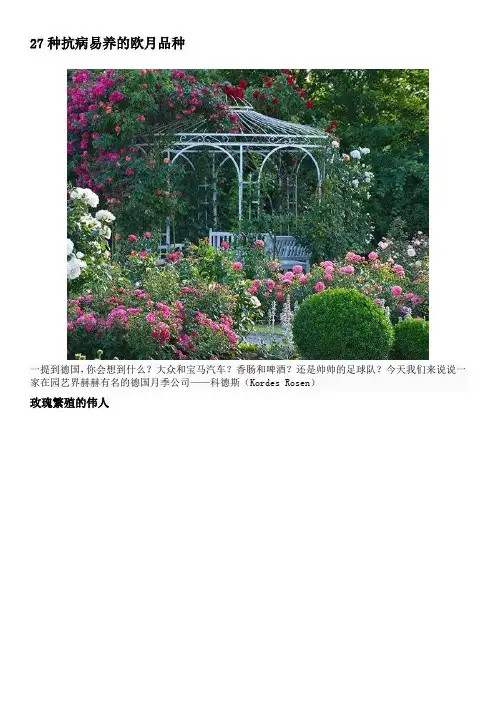 27种抗病易养的欧月品种