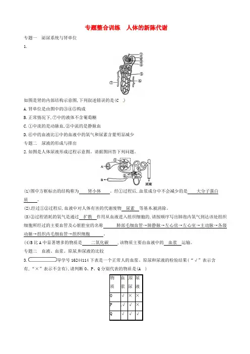 七年级生物下册专题整合训练人体的新陈代谢新版济南版