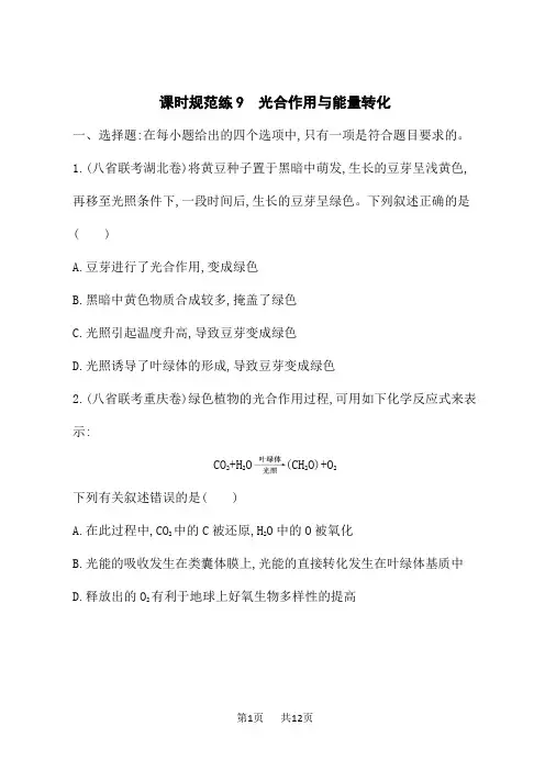 人教版高考生物学一轮总复习课后习题 第3单元 细胞的代谢 课时规范练9 光合作用与能量转化 (2)
