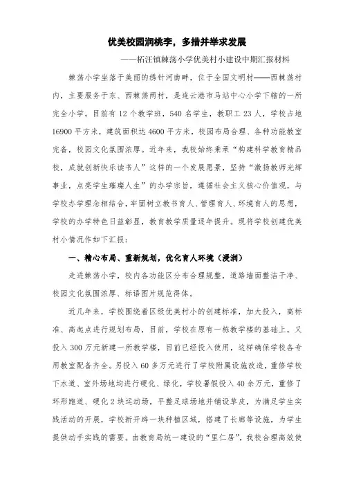 棘荡小学优美村小(二稿)