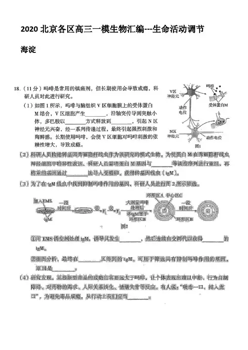 2020北京各区高三一模生物汇编---生命活动调节(含答案)部分试题是扫描版